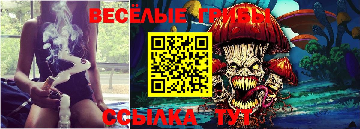 Галлюциногенные грибы мицелий  Галлюциногенные грибы мицелий  Самара  Вход с VPN 